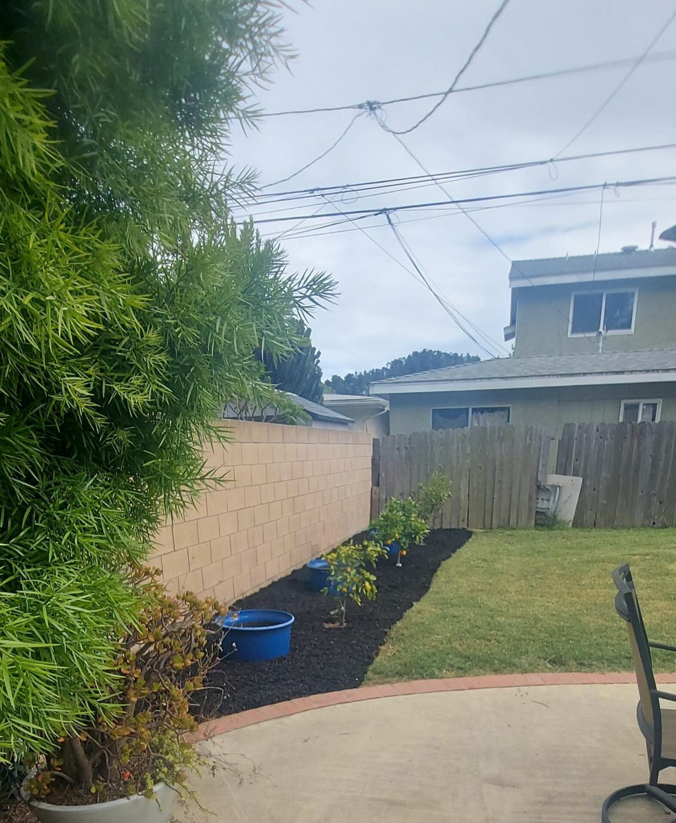 Landscaping by Padilla's Signature Property Solutions in Carson Park (Plaza East) — before and after — after