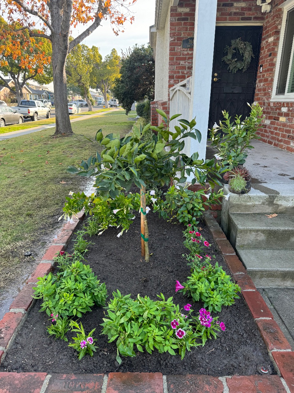 Work by Dreamscapes Landscaping